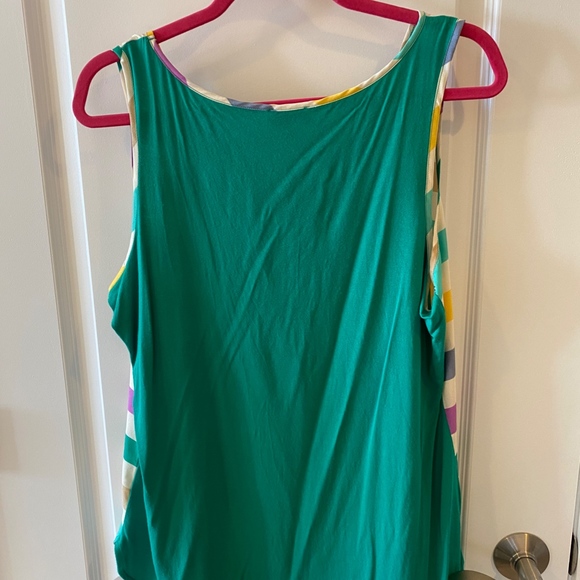 The Limited Multi Color Stripe Tank Top - Picture 3 of 3